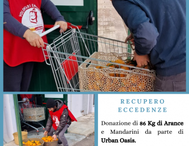 IV Quadrimestre